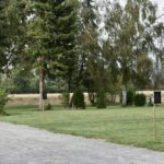 Naturresort Weserinsel - Bild 5