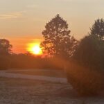 Naturresort Weserinsel - Bild 8