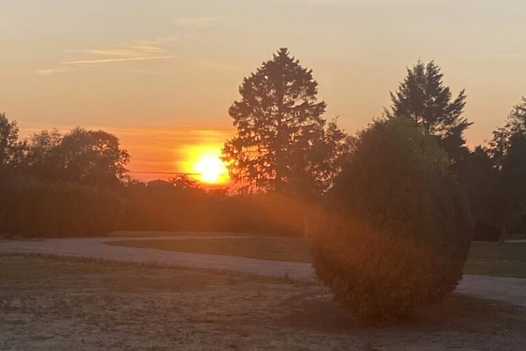 Naturresort Weserinsel - Bild 8