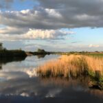 Natuurlijk De Veenhoop - Bild 11