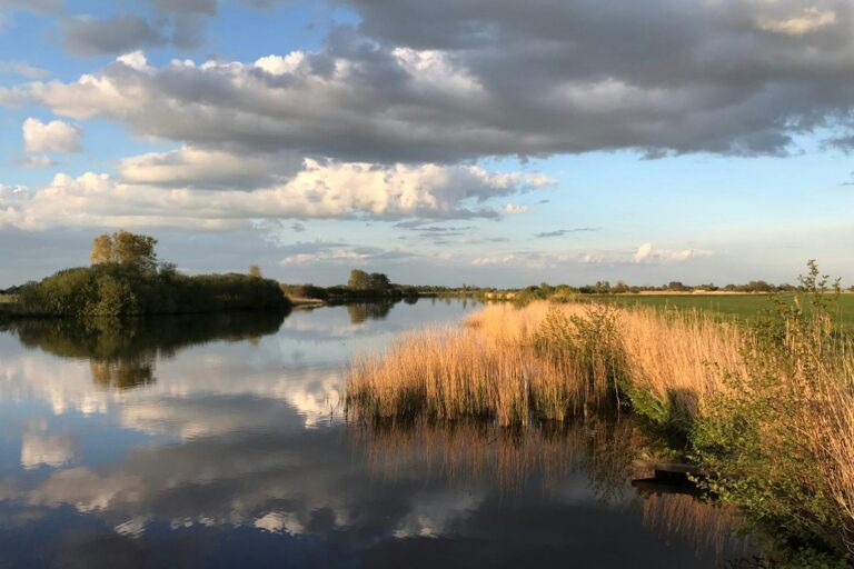 Natuurlijk De Veenhoop - Bild 11