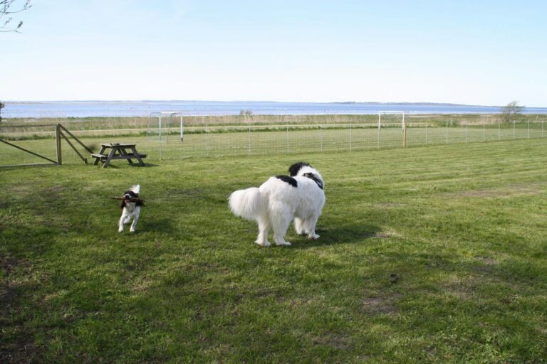 Nibe Camping - Bild 4