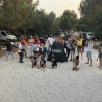 Nicoll's Camp - Camping Des Pins - Bild 19