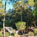 Nicoll's Camp - Camping Des Pins - Bild 6