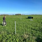 Nordsee Park Hooksiel - Bild 12