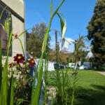 Odenwald River Camp - Bild 6