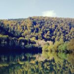 Odenwald River Camp - Bild 8