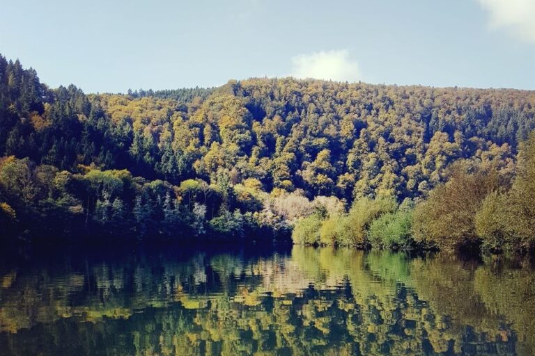 Odenwald River Camp - Bild 8