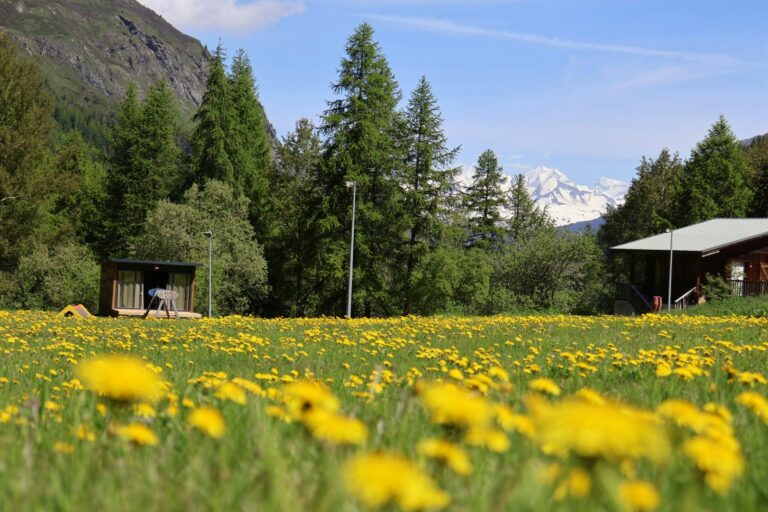 Onlycamp Camping De Tignes - Bild 16