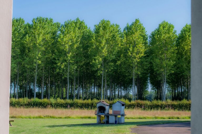 Onlycamp Camping Longue Rive - Bild 8