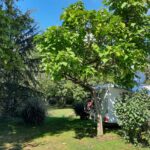 Onlycamp Champ D'été - Bild 10