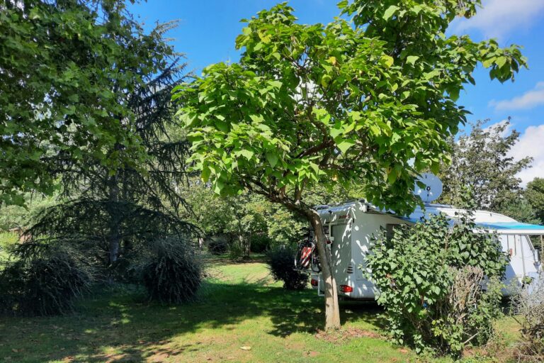 Onlycamp Champ D'été - Bild 10