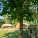 Onlycamp Champ D'été - Bild 5