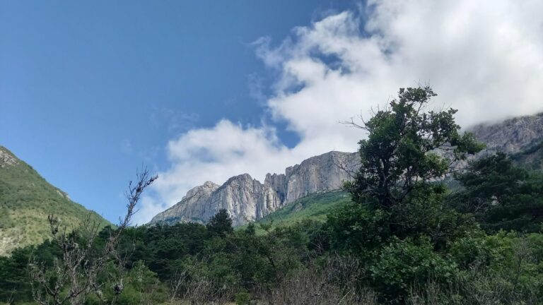 Onlycamp De Chamarges - Bild 20 Onlycamp De Chamarges - Bild 20