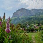 Onlycamp Des Petites Roches - Bild 17