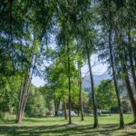 Onlycamp Domelin - Bild 6 Onlycamp Domelin - Bild 6