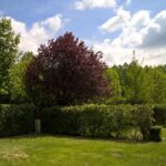 Onlycamp La Confluence - Bild 11