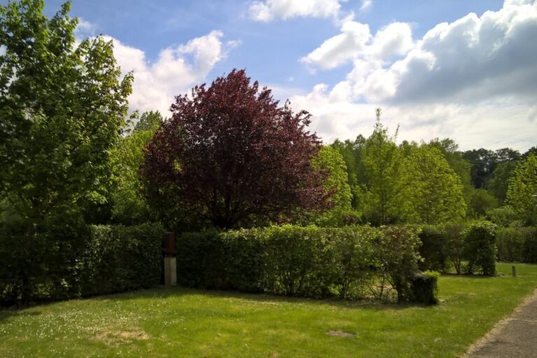 Onlycamp La Confluence - Bild 11