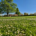 Onlycamp La Potinière - Bild 5