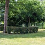 Onlycamp La Roseraie - Bild 16