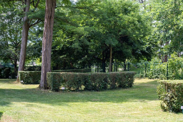 Onlycamp La Roseraie - Bild 16