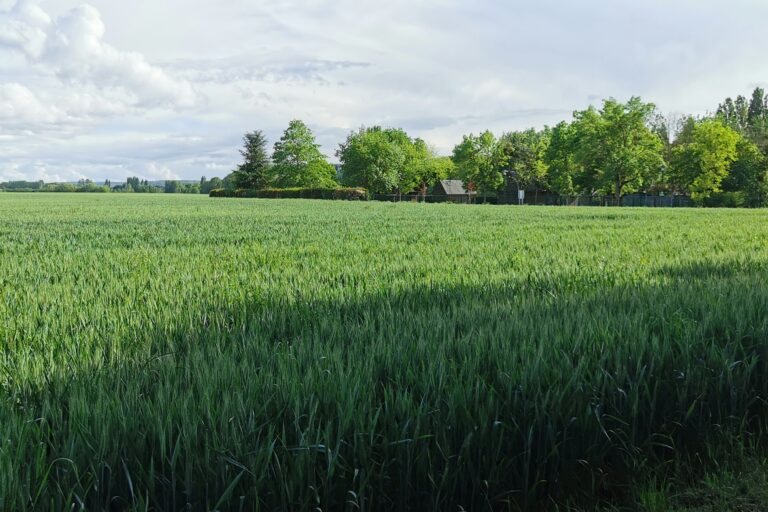 Onlycamp La Roseraie - Bild 3