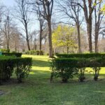 Onlycamp La Roseraie - Bild 6