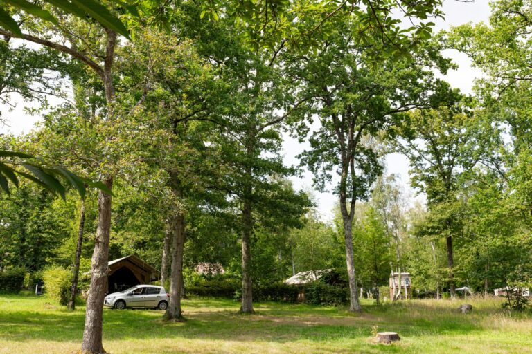 Onlycamp La Varenne - Bild 2