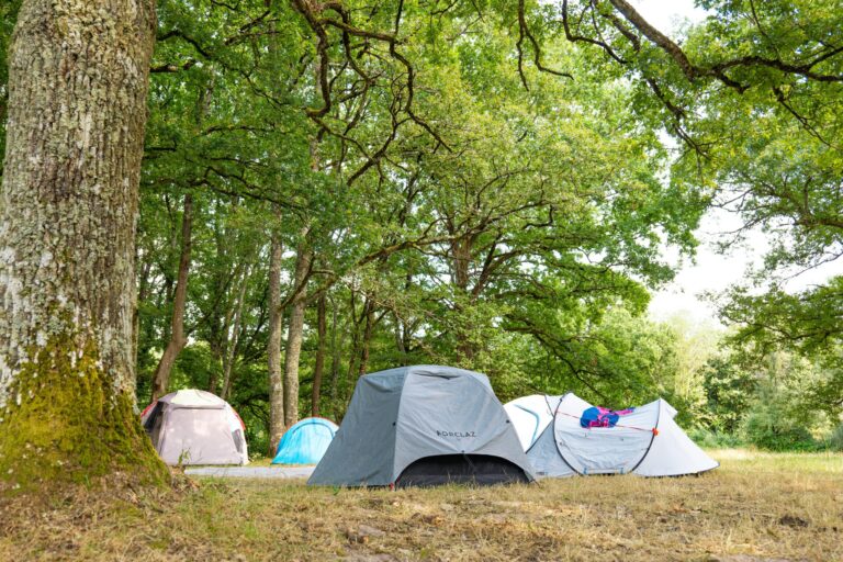 Onlycamp La Varenne - Bild 5