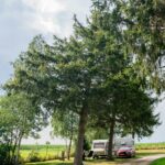 Onlycamp L'orée D'alsace - Bild 8