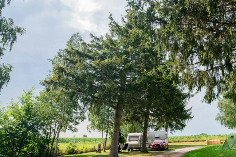 Onlycamp L'orée D'alsace - Bild 8