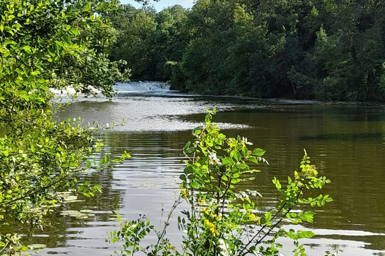 Onlycamp Le Clos Imbert - Bild 6 Onlycamp Le Clos Imbert - Bild 6