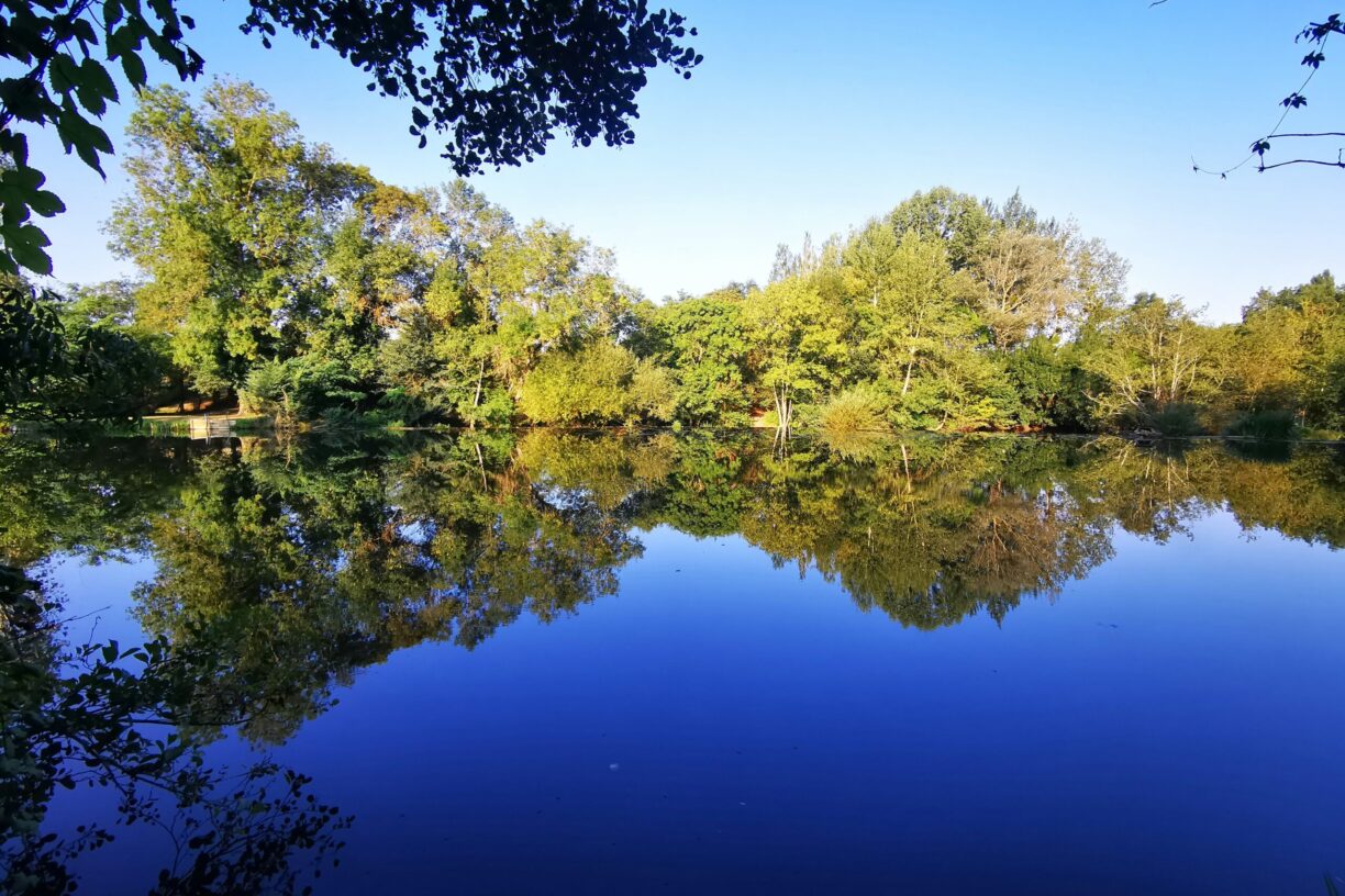 Onlycamp Le Clos Imbert - Bild 7 Onlycamp Le Clos Imbert - Bild 7