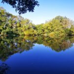 Onlycamp Le Clos Imbert - Bild 7 Onlycamp Le Clos Imbert - Bild 7