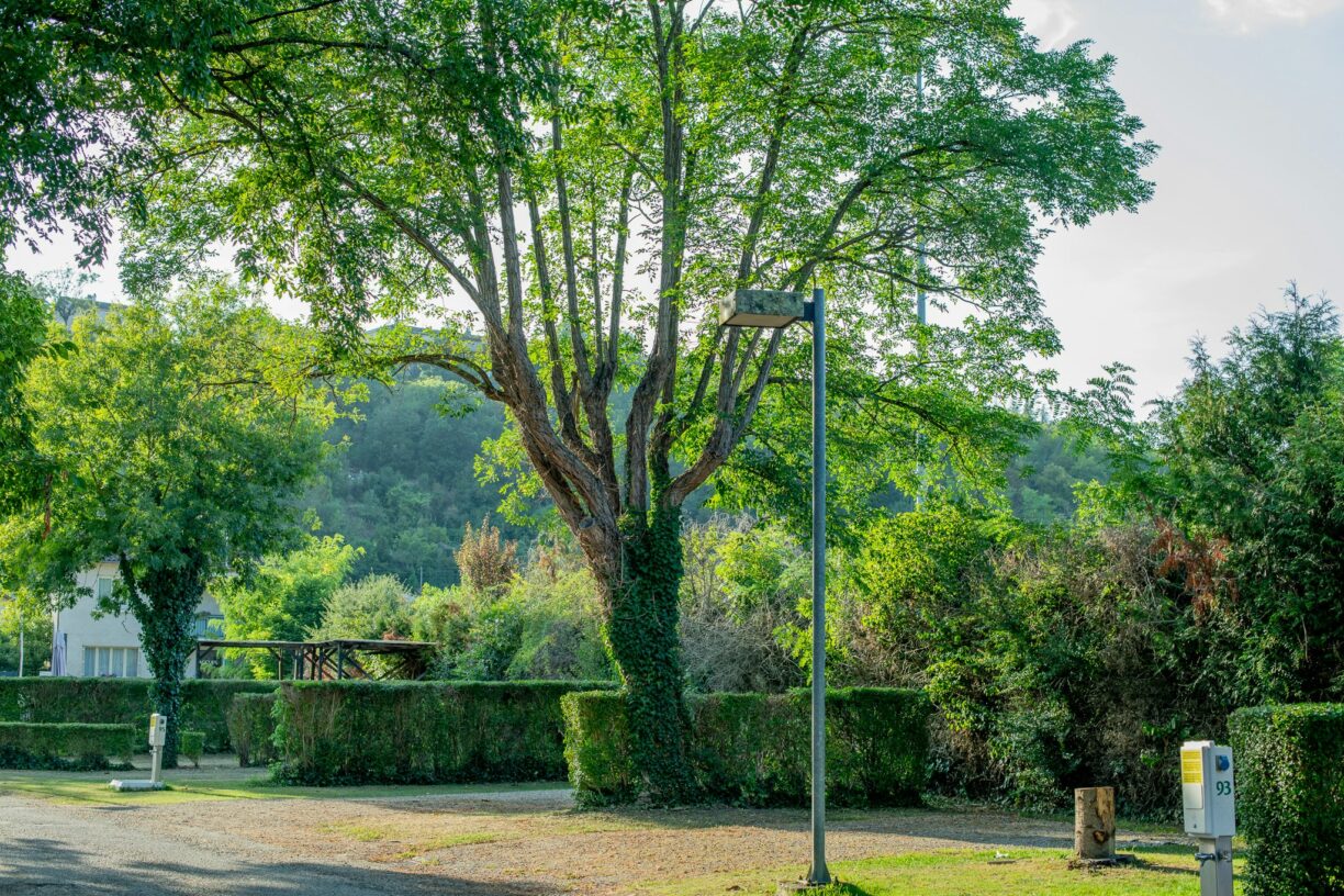 Onlycamp Le Rouergue - Bild 18 Onlycamp Le Rouergue - Bild 18