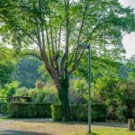 Onlycamp Le Rouergue - Bild 18 Onlycamp Le Rouergue - Bild 18