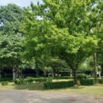 Onlycamp Le Rouergue - Bild 5 Onlycamp Le Rouergue - Bild 5