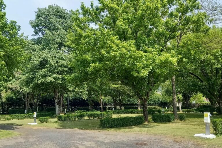 Onlycamp Le Rouergue - Bild 5 Onlycamp Le Rouergue - Bild 5