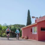 Onlycamp Les Vailhés - Bild 13 Onlycamp Les Vailhés - Bild 13