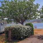 Onlycamp Les Vailhés - Bild 16 Onlycamp Les Vailhés - Bild 16