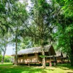 Onlycamp L'orée D'alsace - Bild 1