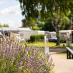 Ostseequelle.camp - Bild 2