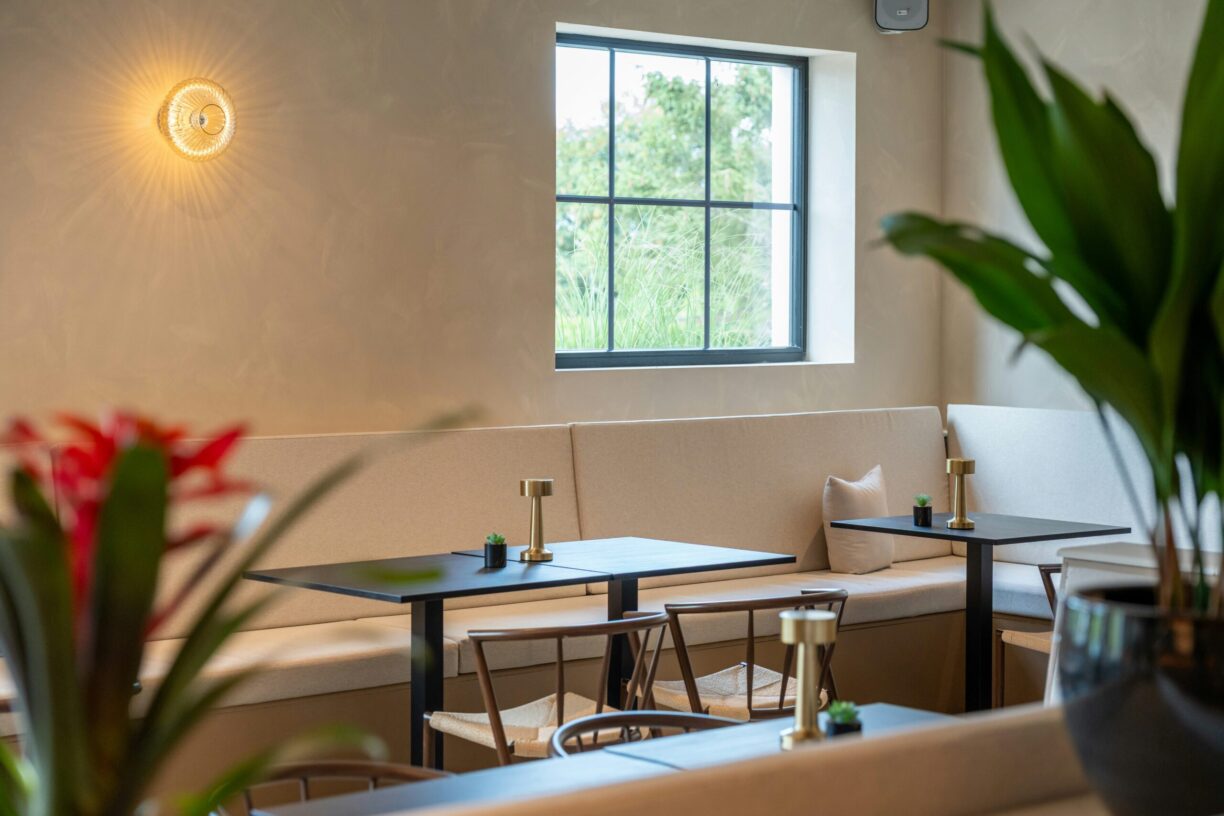 Papillon Bouillon - Bild 11 Papillon Bouillon - Bild 11