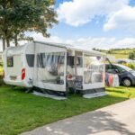 Papillon Bouillon - Bild 3 Papillon Bouillon - Bild 3