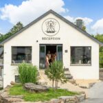 Papillon Bouillon - Bild 7 Papillon Bouillon - Bild 7