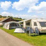 Papillon Bouillon - Bild 1 Papillon Bouillon - Bild 1