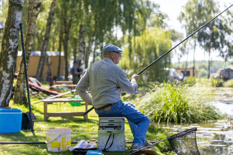 Papillon Kinrooi - Bild 10