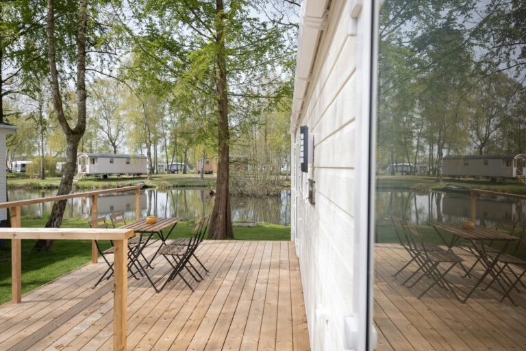 Papillon Kinrooi - Bild 12