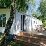 Papillon Kinrooi - Bild 13