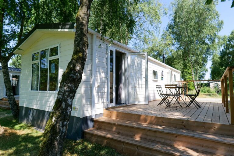 Papillon Kinrooi - Bild 13